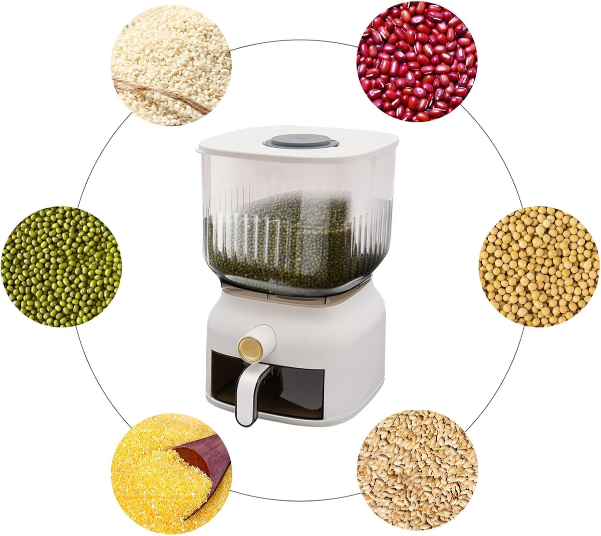 Rice Dispenser 5L, Rice Storage Container with Push Button, Clear PP